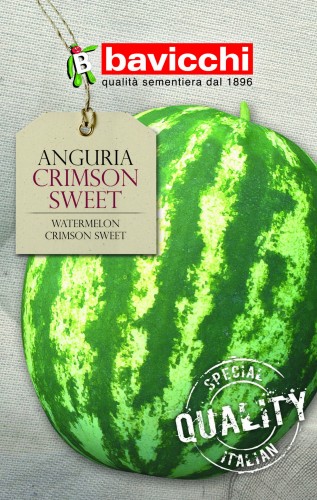 arbuz crimson sweet.jpg