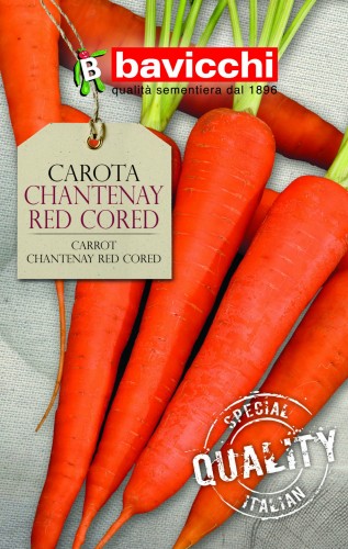marchew chantenay red cored .jpg