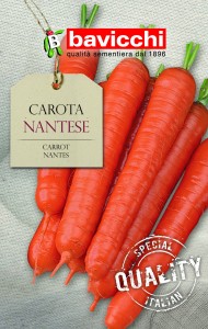 Marchew Nantes wczesna Bavicchi  8g