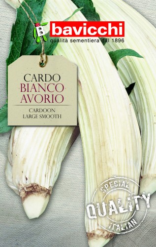 karczoch bianco avorio .jpg