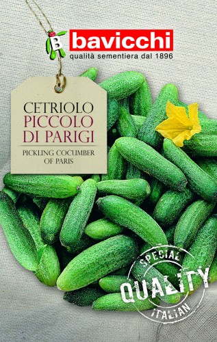 ogórek piccolo de parigi.jpg