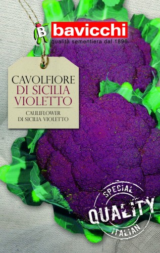 kalafior di sicilia violetto .jpg