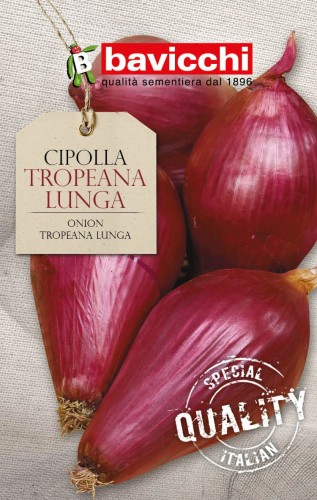 cebula tropeana lunga .jpg
