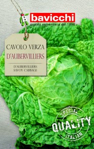 Kapusta włoska D'Aubervilliers odporna na choroby Bavicchi 6g