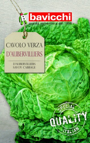 kapusta włoska d aubervilliers .jpg