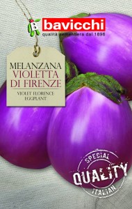 Oberżyna, bakłażan Violetta Di Firenze Bavicchi 2g