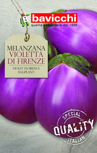 oberżyna violeta di firenze .jpg