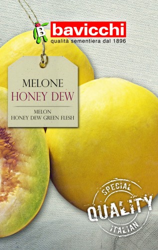 melon honey dew.jpg