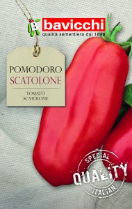 Pomidor Scatolone mięsisty Bavicchi 0,7g
