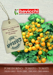Pomidor Ciliegino Giallo słodki plenny Bavicchi 2g