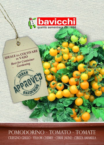 pomidor ciliegino gallo .jpg
