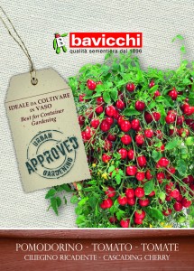 Pomidor Ciliegino Ricadente słodki plenny Bavicchi 0,5g
