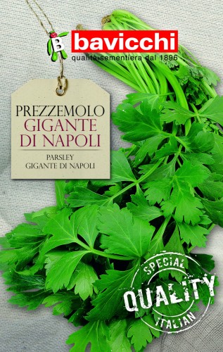 pietruszka gigante di napoli.jpg