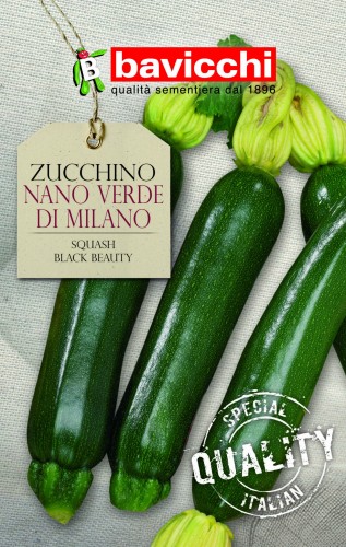 cukinia nano verde di milano .jpg