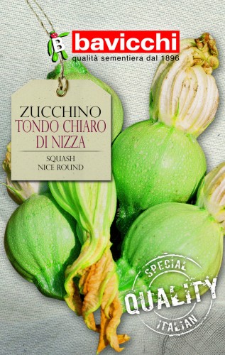 cukinia tondo chiaro di nizza.jpg