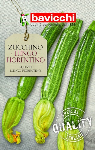 cukinia lungo fiorentino.jpg