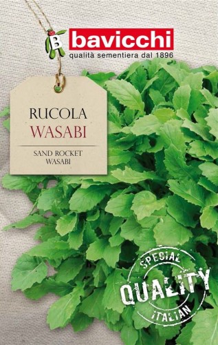 rukola wasabi.jpg