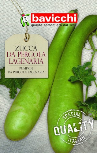 dynia da pergola lagenaria.jpg