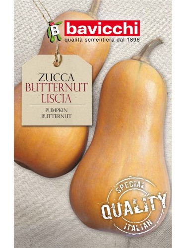 dynia butternut.jpg
