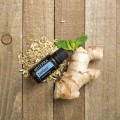 EU ZenGest 15 ml 1.jpg