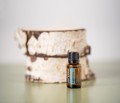 EU Cypress 15 ml 4.jpg