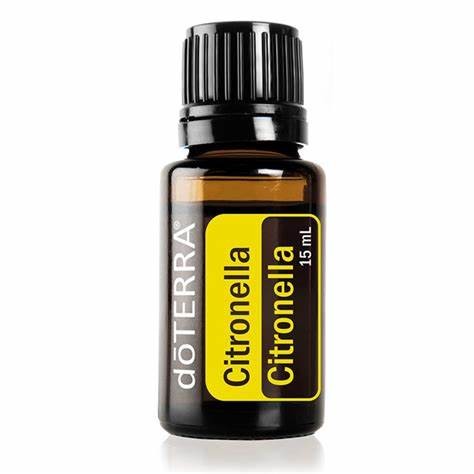 CITRONELLA.jpg