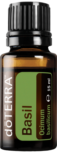 basil15ml-large-500x1350-eu.png