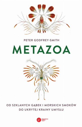 METAZOA.jpg