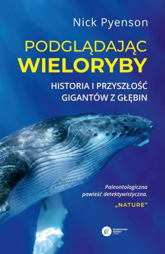 PODGLĄDAJĄC WIELORYBY.jpeg