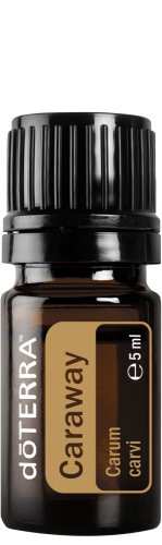 caraway-large-404x1350-eu.png